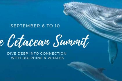 The Cetacean Summit 2021 - Connect Deeply with Dolphins & Whales