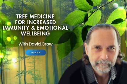 Tree Medicine for Increased Immunity & Emotional Wellness - With David Crow