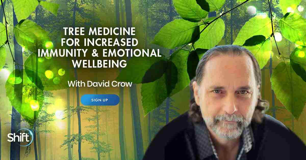 Tree Medicine for Increased Immunity & Emotional Wellness - With David Crow