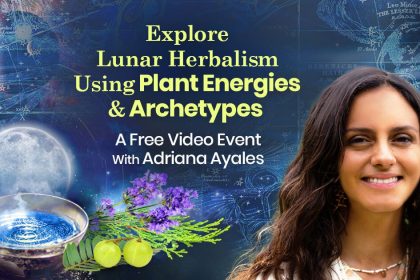 Explore Lunar Herbalism Using Plant Energies & Archetypes