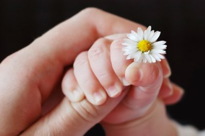 Flower Being Held