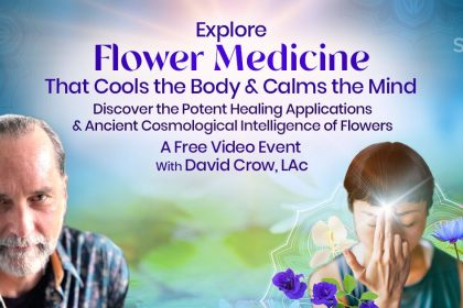 Flower Medicine For Inner Peace, Spiritual Health, and Stress Release - David Crow