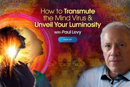 how-to-transmute-the-mind-virus-and-unveil-your-luminosity-paul-levy