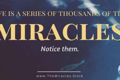 LIfe is A Series of Tiny Miracles - Notice Them