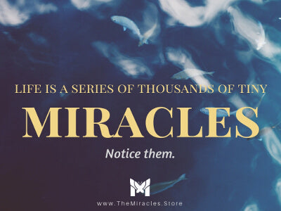 Life is a series of thousands of tiny little miracles. Notice them. ~ Unknown