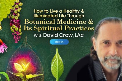 Plant Medicine & It's Spiritual Practices - With David Crow