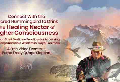 Connect With the Sacred Hummingbird to Drink the Healing Nectar of Higher Consciousness: Andean Spirit Medicine Practices for Accessing the Deep Shamanic Wisdom in “Royal” Animals