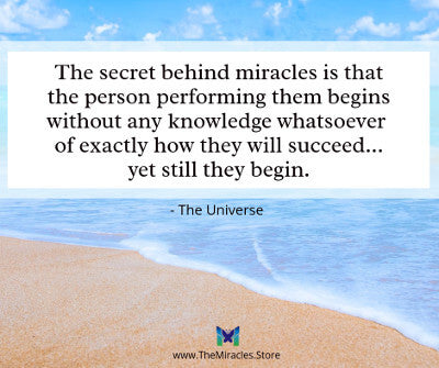 The secret behind miracles is that the person performing them begins without any knowledge whatsoever of exactly how they will succeed... yet they still begin. ~ Notes from the Universe by Mike Dooley