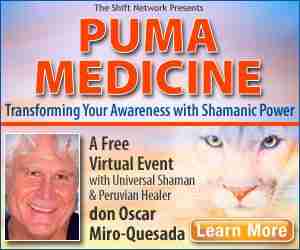 Puma Medicine - Transforming Your Awareness With Shamanic Power