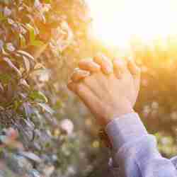 Young woman praying at sunset