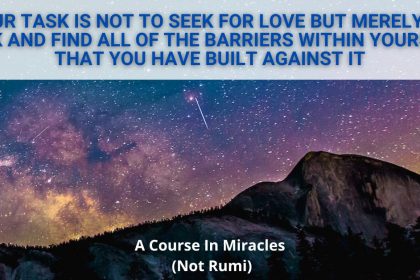 Your task is not to seek for love, but merely to seek and find all the barriers within yourself that you have built against it. - A Course In Miracles